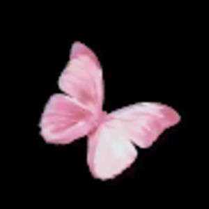 Meet your Posher, Zoie